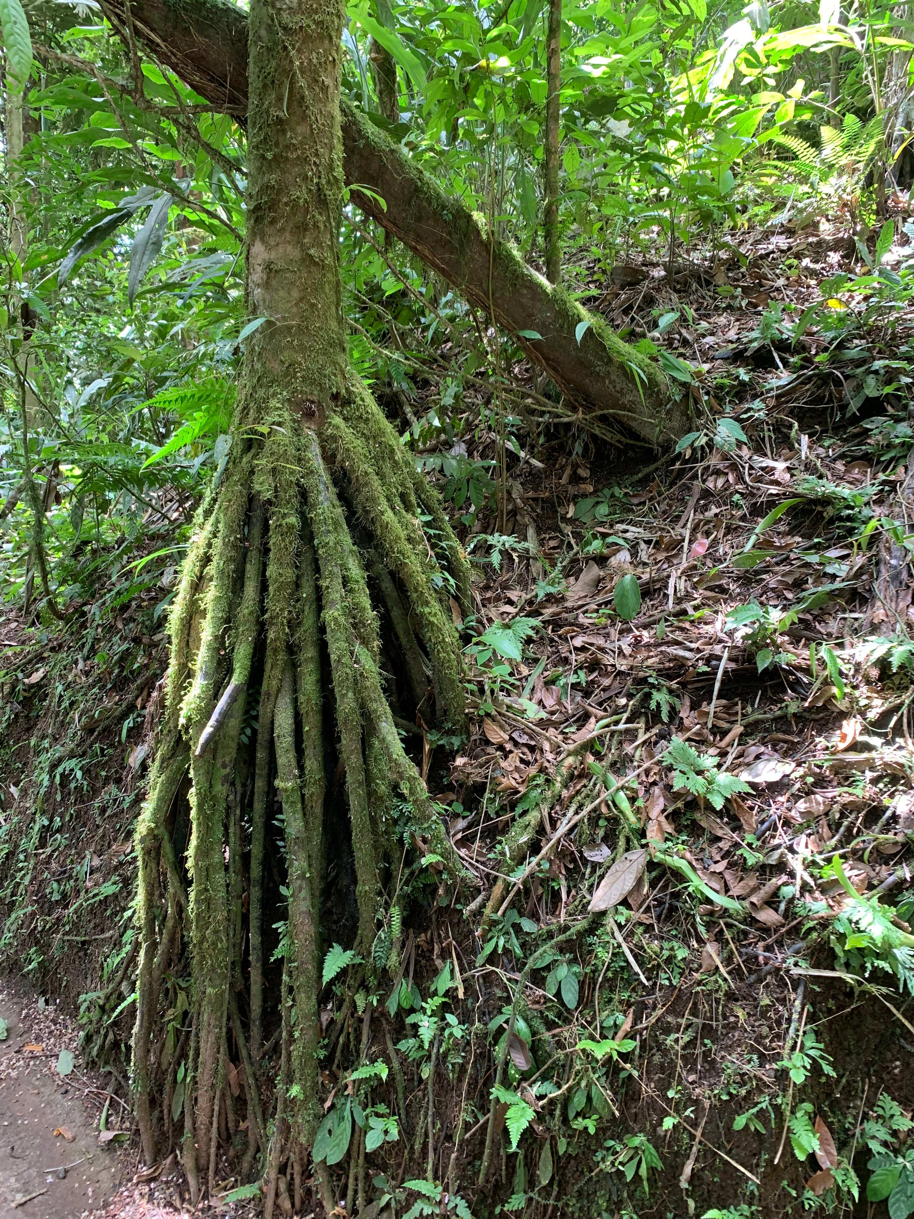 Costa Rica